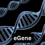 eGene