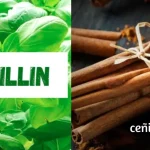 Ceñillin