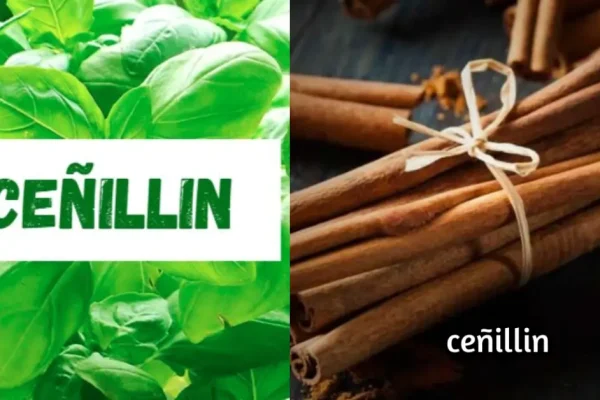 Ceñillin