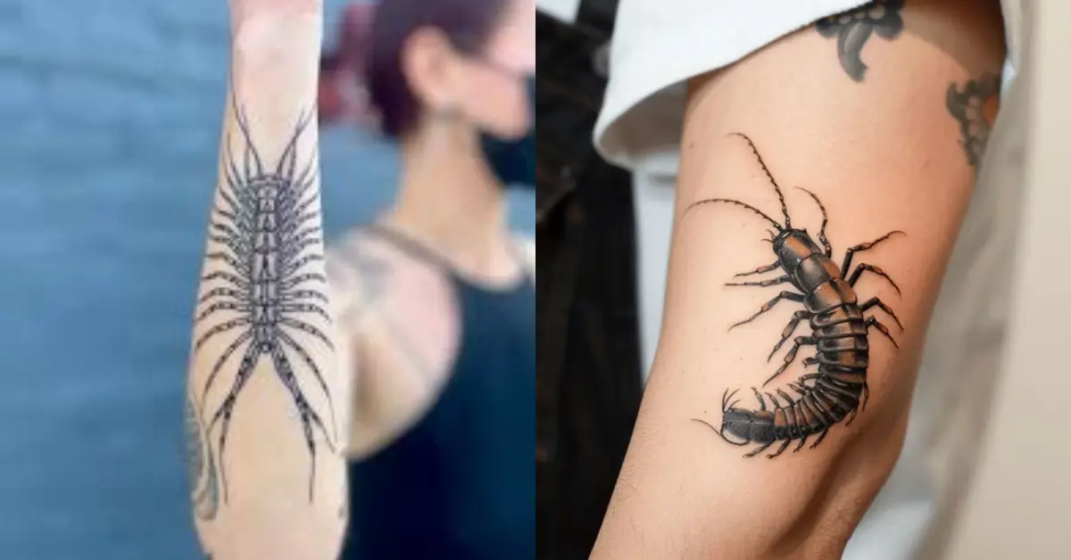 Centipede Tattoo