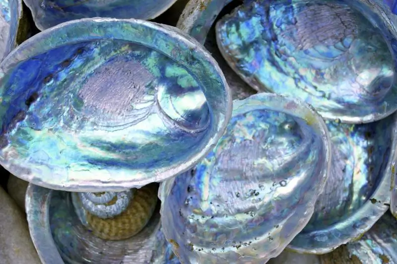 What is Mother of pearl?