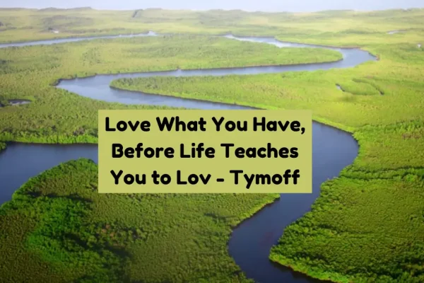 Love What You Have, Before Life Teaches You to Lov - Tymoff