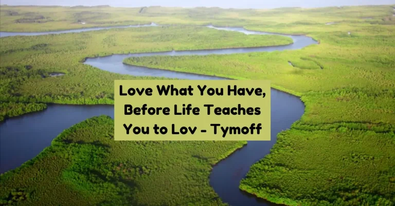 Love What You Have, Before Life Teaches You to Lov - Tymoff