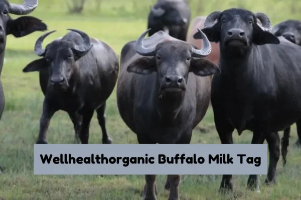 Wellhealthorganic Buffalo Milk Tag