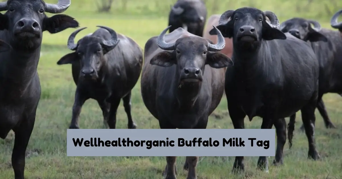 Wellhealthorganic Buffalo Milk Tag