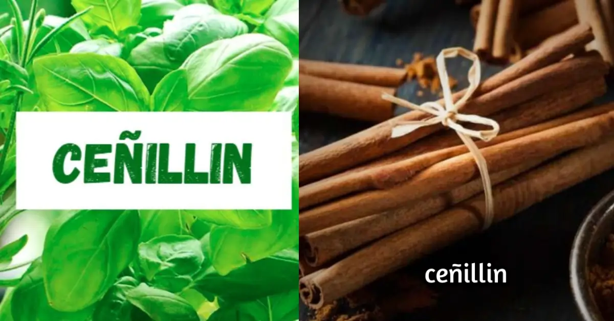 Ceñillin