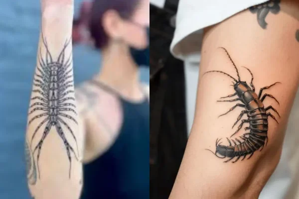 Centipede Tattoo